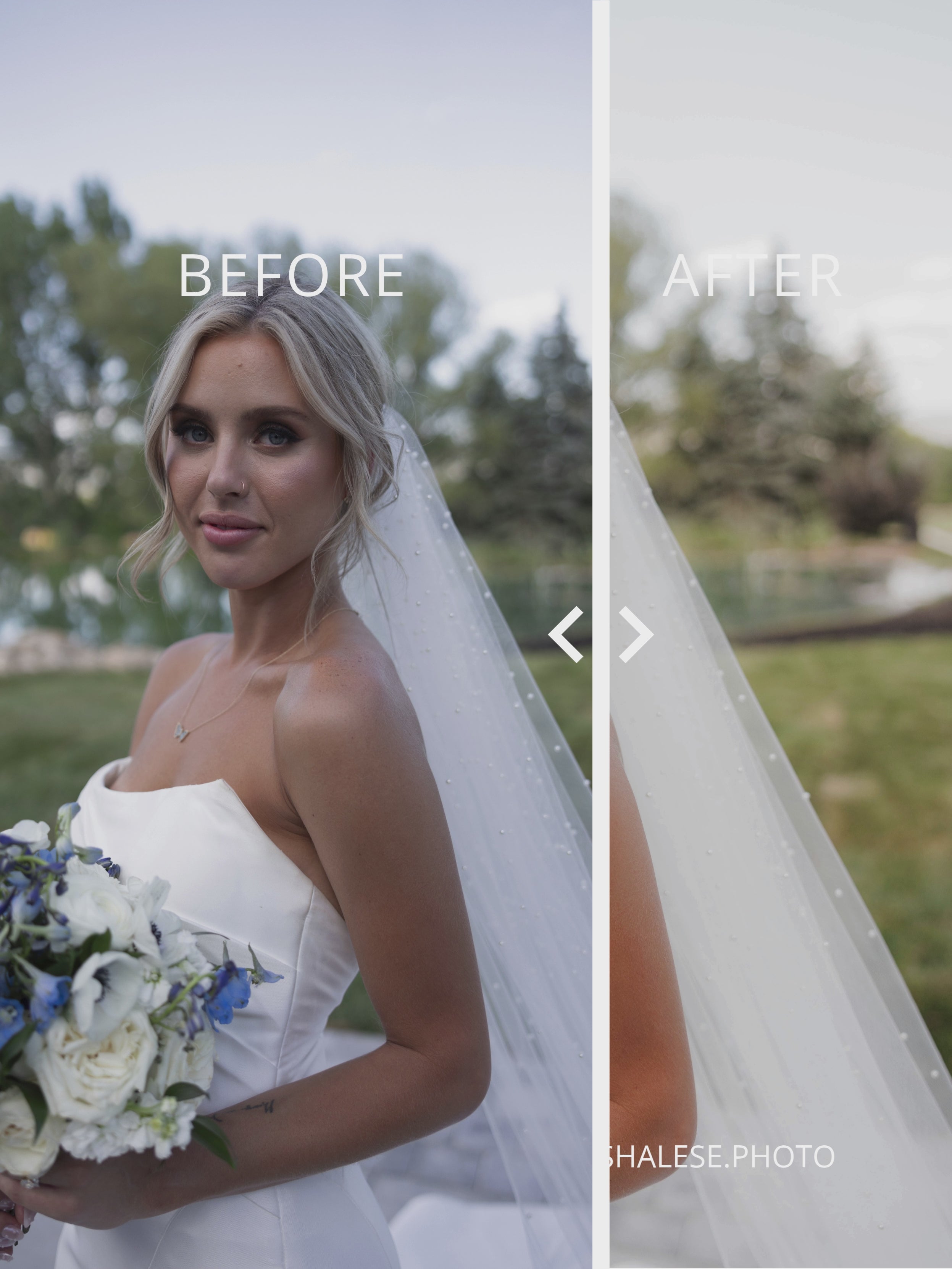The Elegant Preset Pack